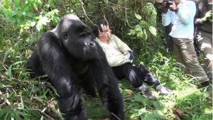 2 Days Gorilla Trekking Buhoma