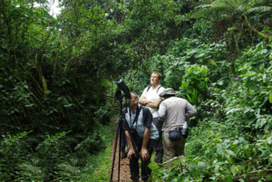 Birding in Buhoma Sector